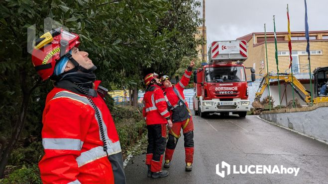 PXL 20260206 110120072