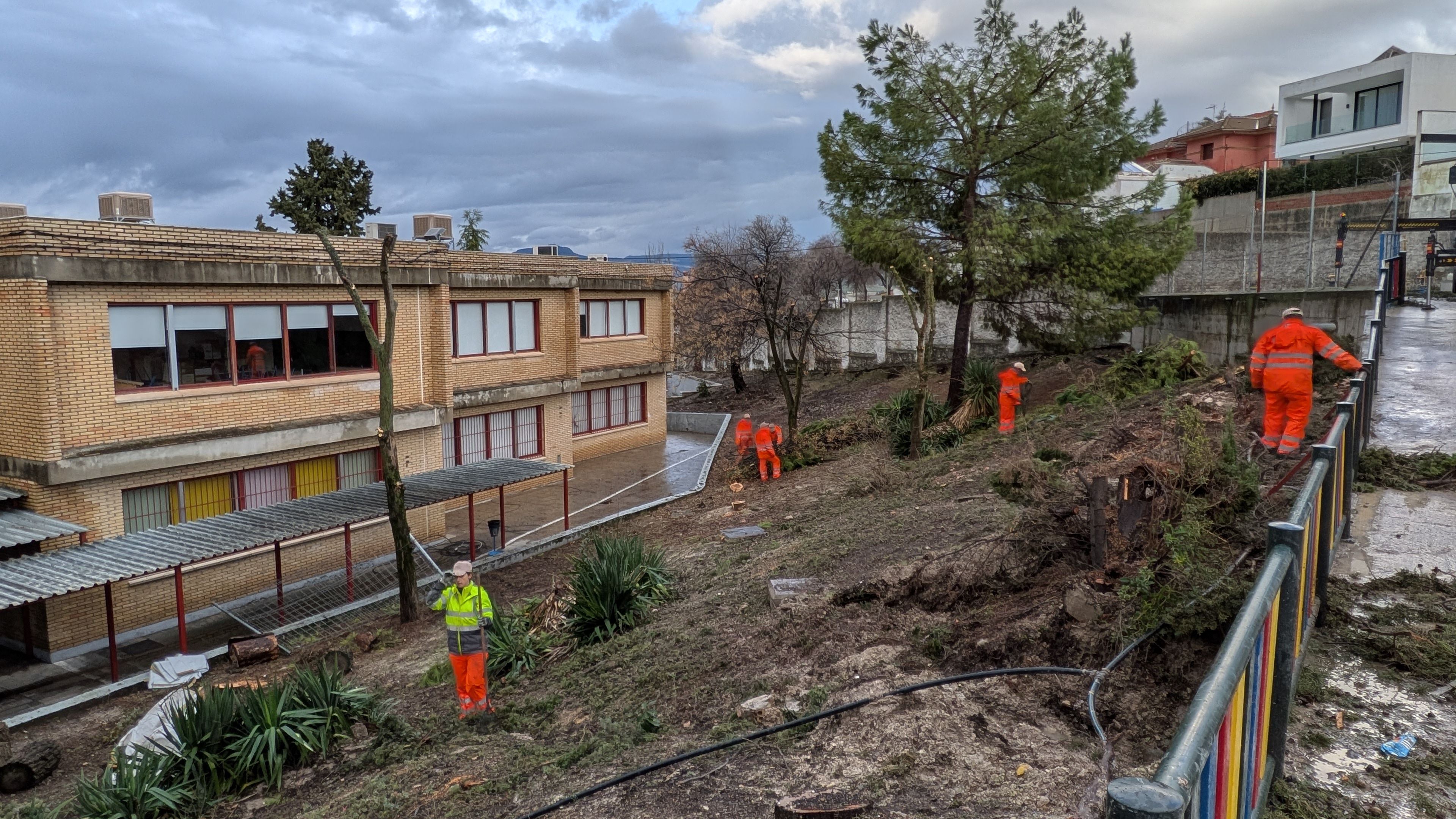 Personal municipal culmina la limpieza de una de las zonas afectadas por la caída de arbolado en el CEIP El Carmen