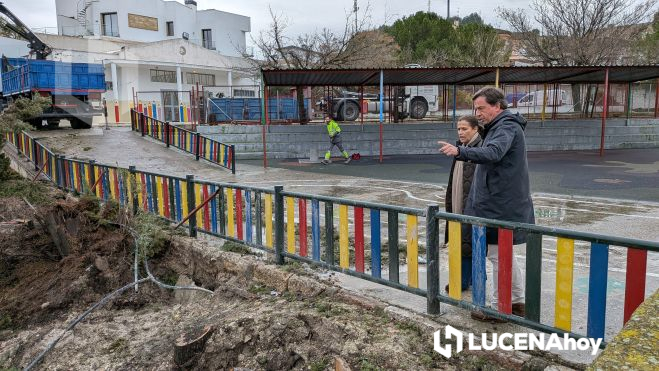 PXL 20260206 104725386