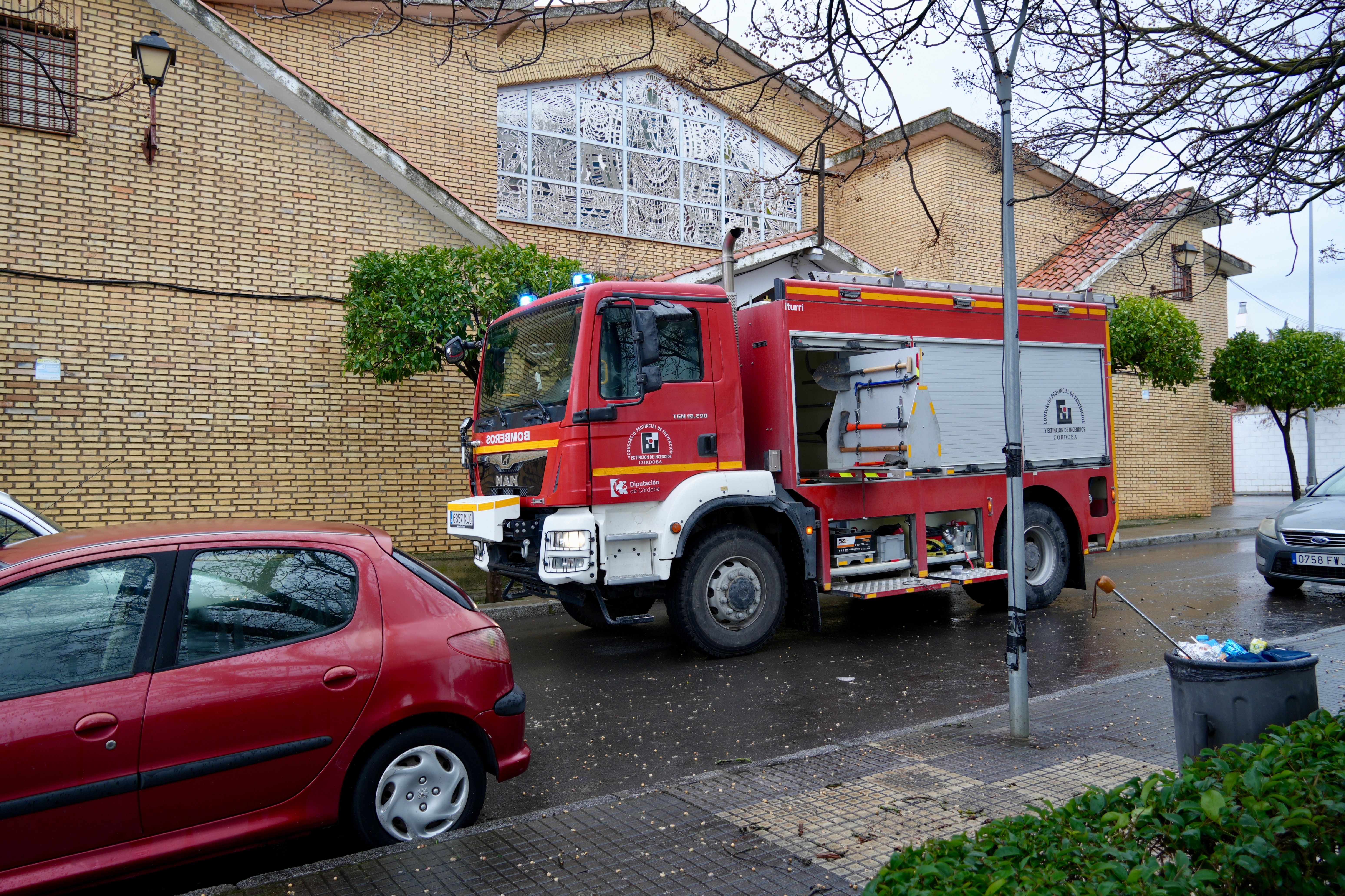 Árbol abatido por el viento en la avenida de Santa Teresa
