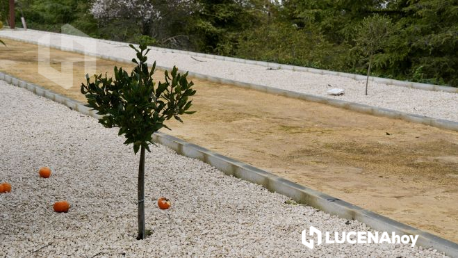 Cementerio Ecológico Cementerio Ecológico