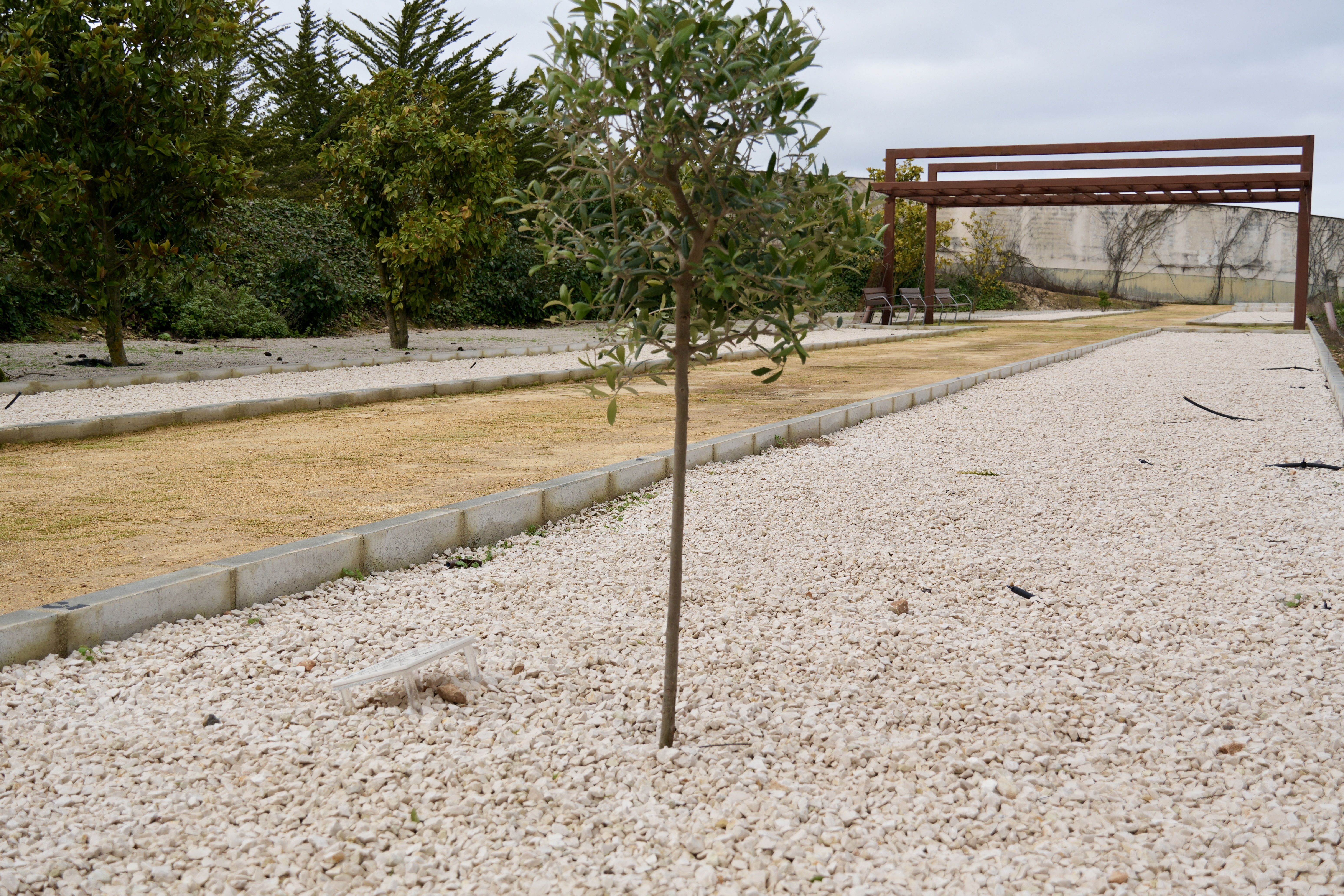Una de las primeras inhumaciones en el Cementerio Ecológico de Lucena