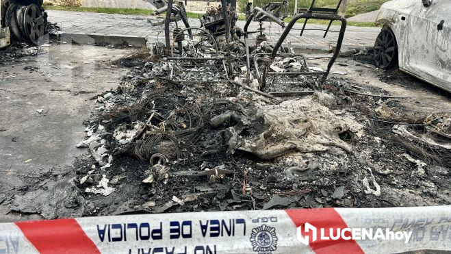 Uno de los vehículos ha quedado reducido a cenizas