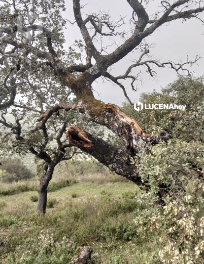 a552367e 63c5 4c66 987d ce4b701b0914 a552367e 63c5 4c66 987d ce4b701b0914