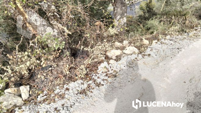 Las asociaciones medioambientales también denuncian la gran cantidad de hormigón utilizada Las asociaciones medioambientales también denuncian la gran cantidad de hormigón utilizada