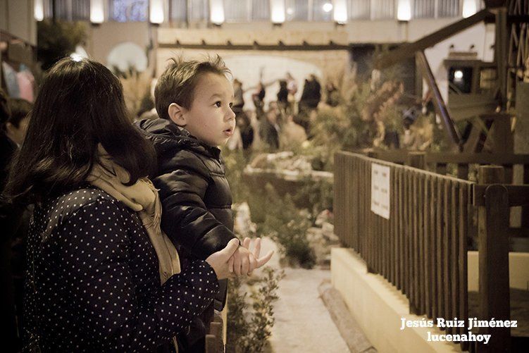 Galería: La Navidad llega adelantadamente al centro de la ciudad, por Jesús Ruiz Jiménez