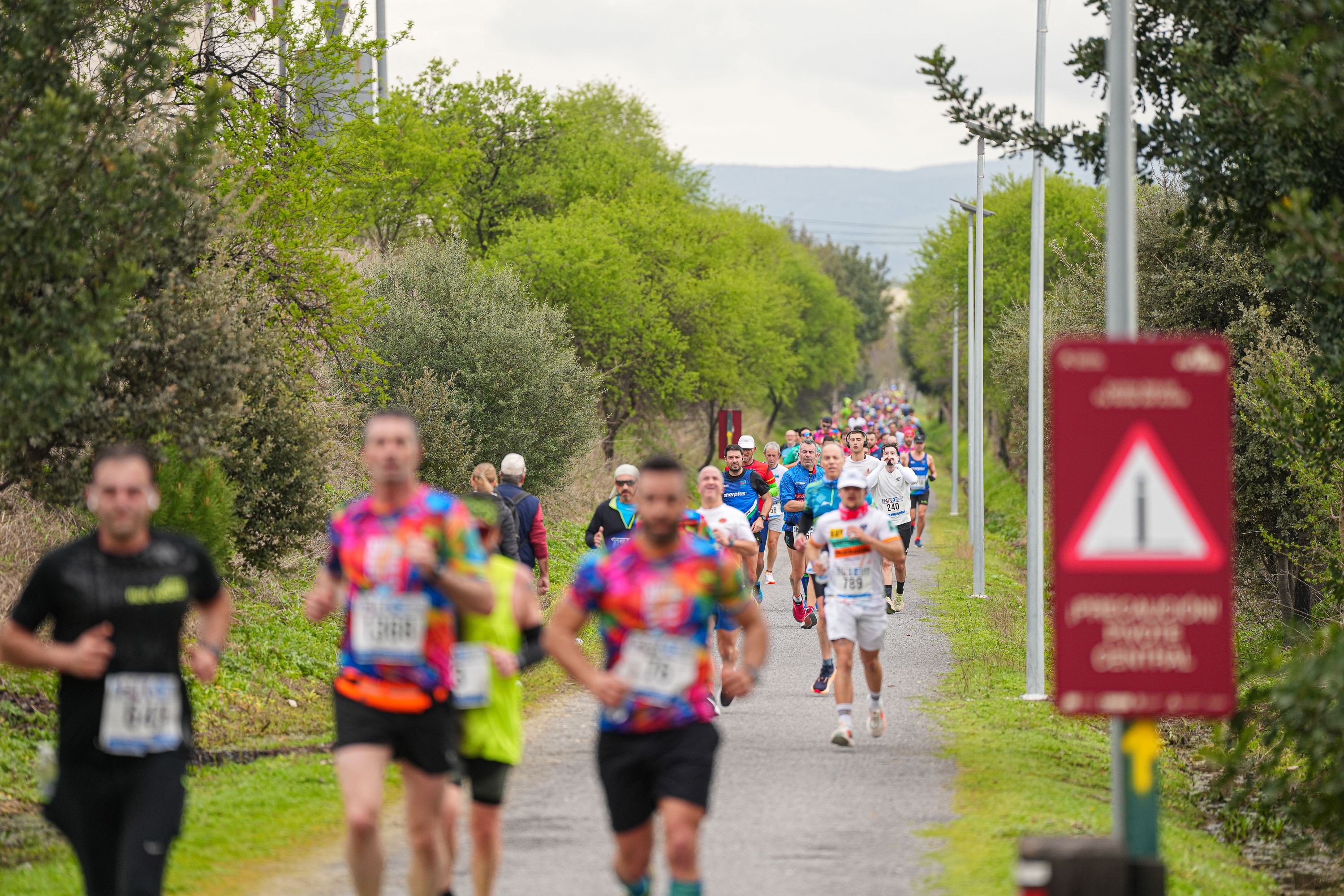 Media Maraton 2026   JCañete (252)
