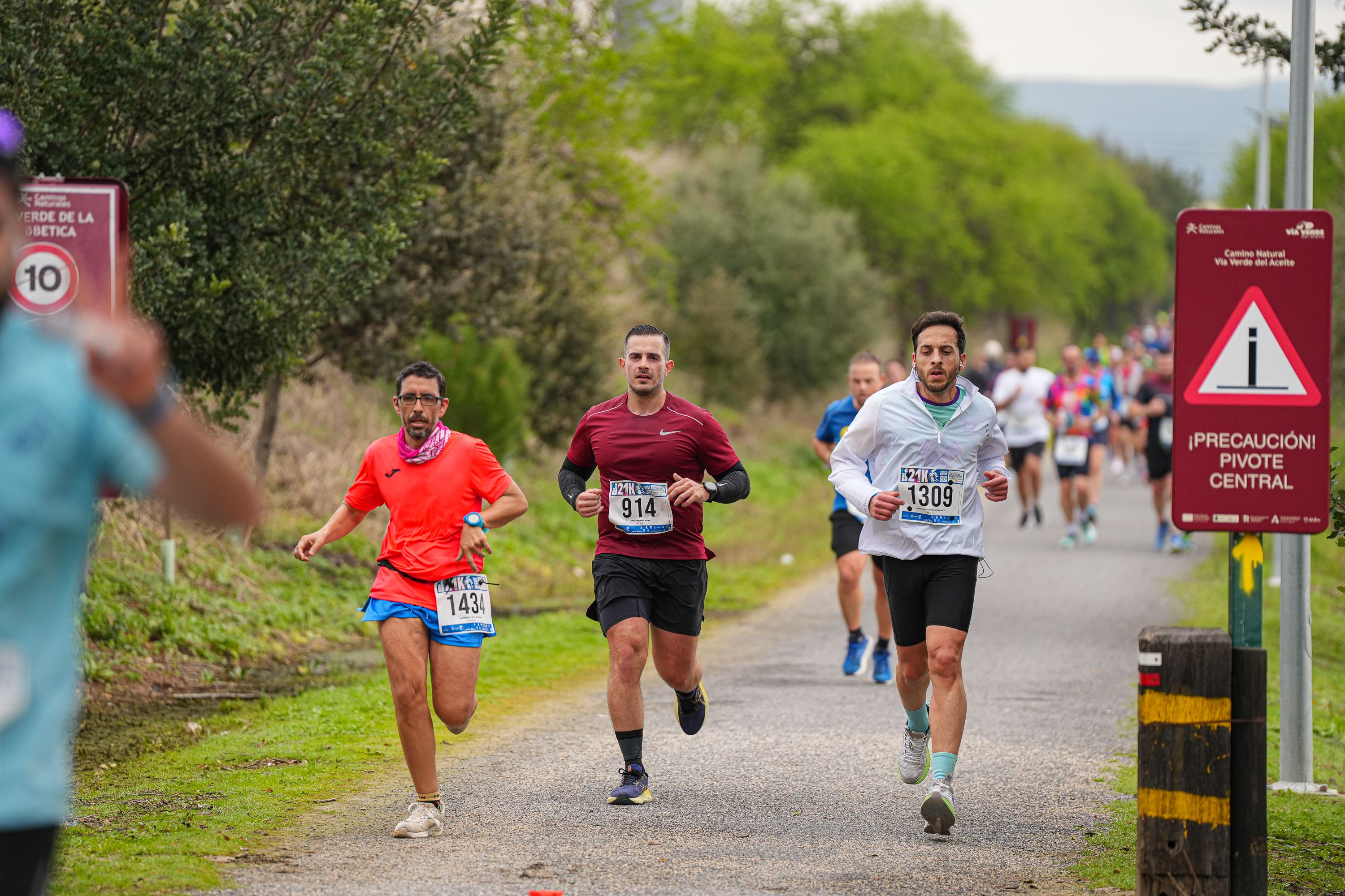 Media Maraton 2026   JCañete (256)