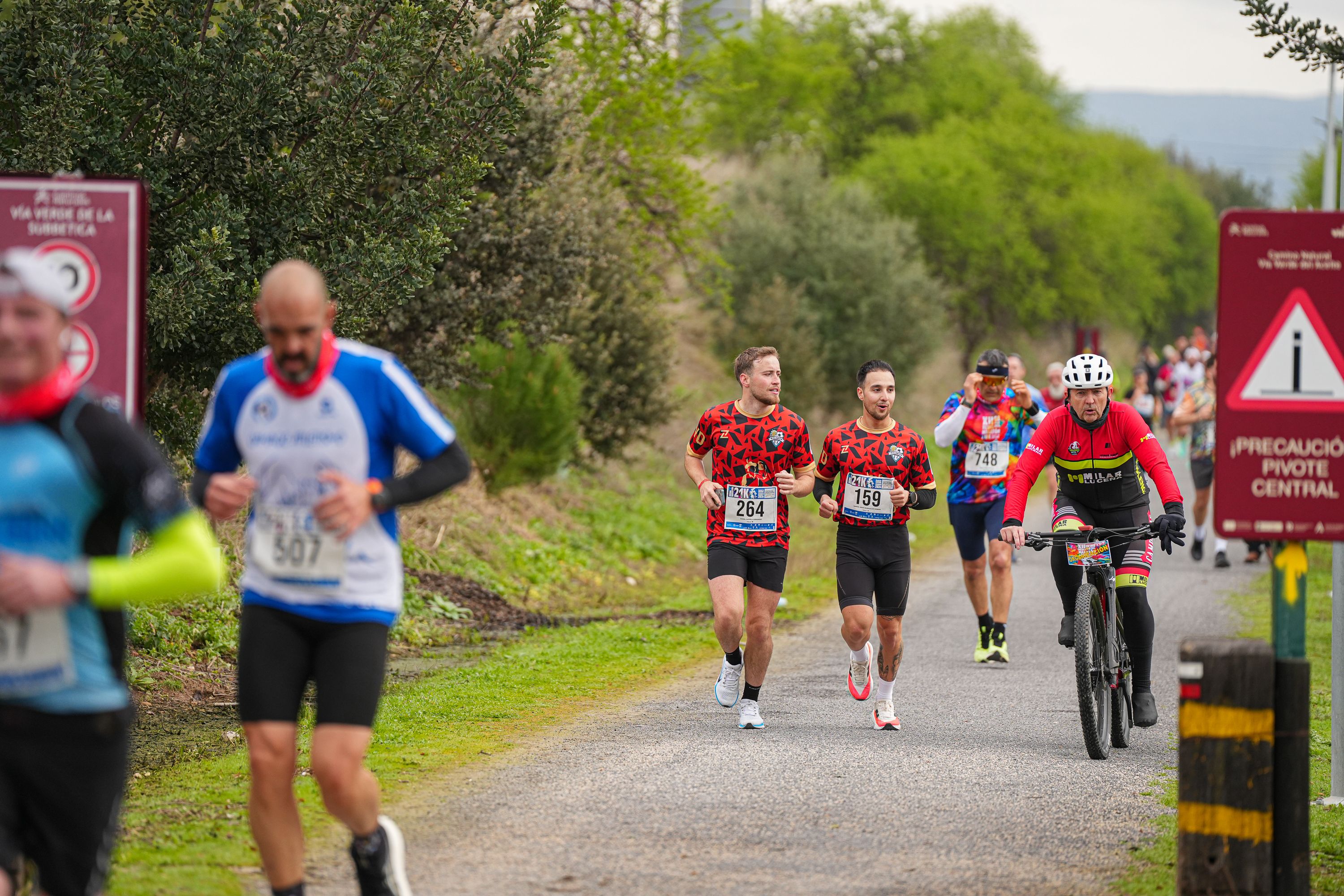 Media Maraton 2026   JCañete (260)