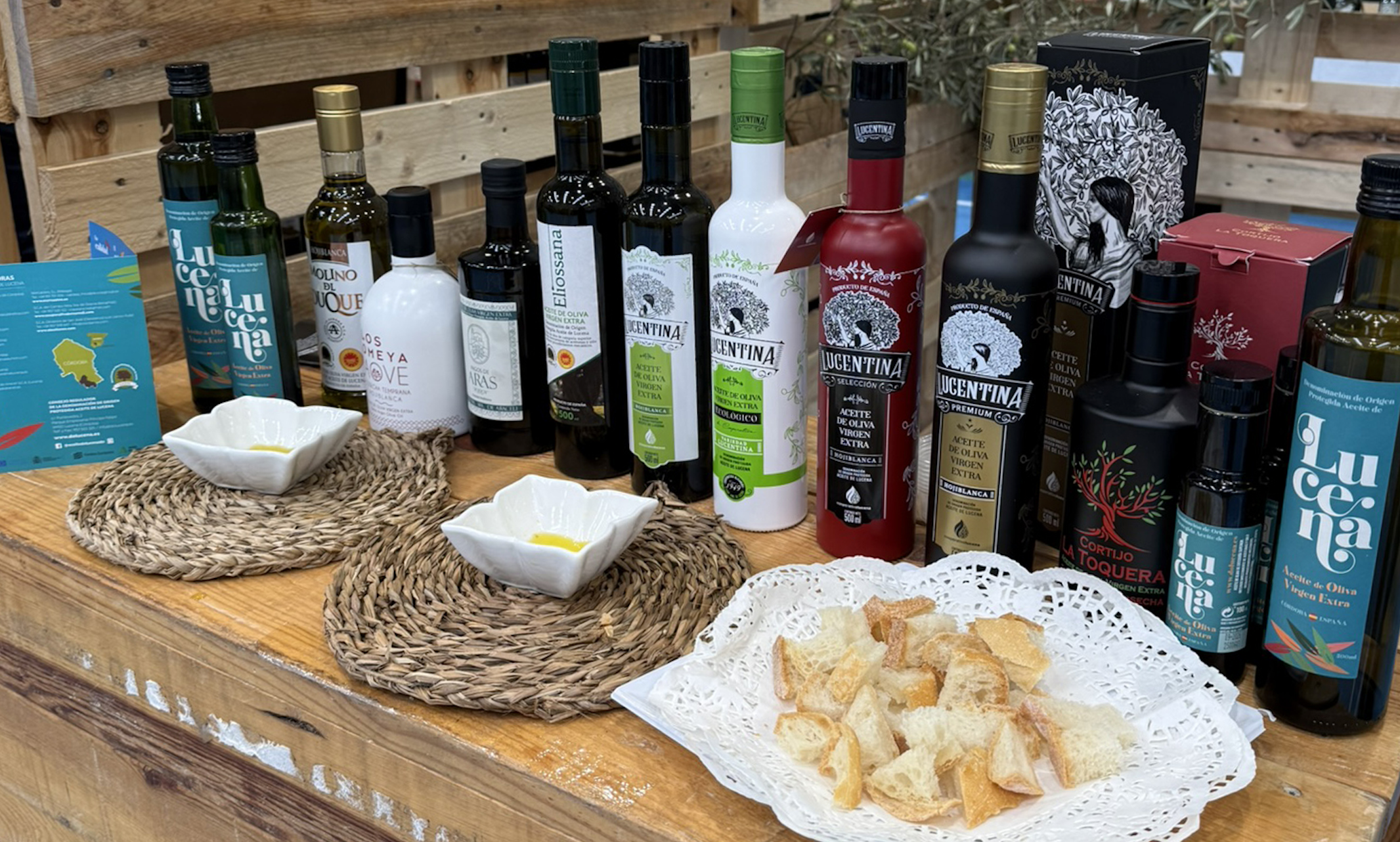 Aceites de la Denominación de Origen Protegida Aceite de Lucena