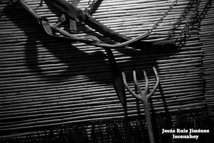 Foto-galería: De Jauja a Belén: un centenar de vecinos de la pedanía lucentina representan el nacimiento de Jesús Foto-galería: De Jauja a Belén: un centenar de vecinos de la pedanía lucentina representan el nacimiento de Jesús