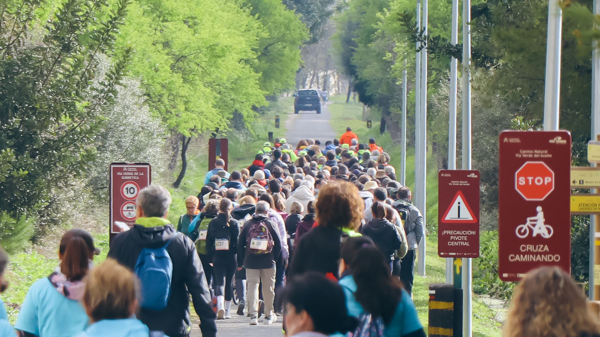 Ruta senderista Maratón Subbético Mozárabe 2026 33