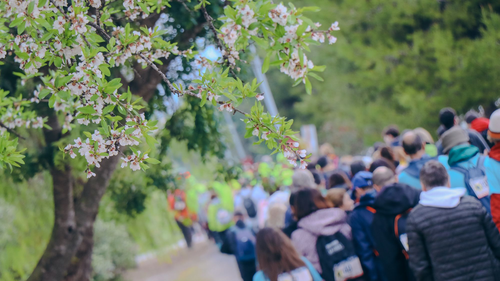 Ruta senderista Maratón Subbético Mozárabe 2026 46