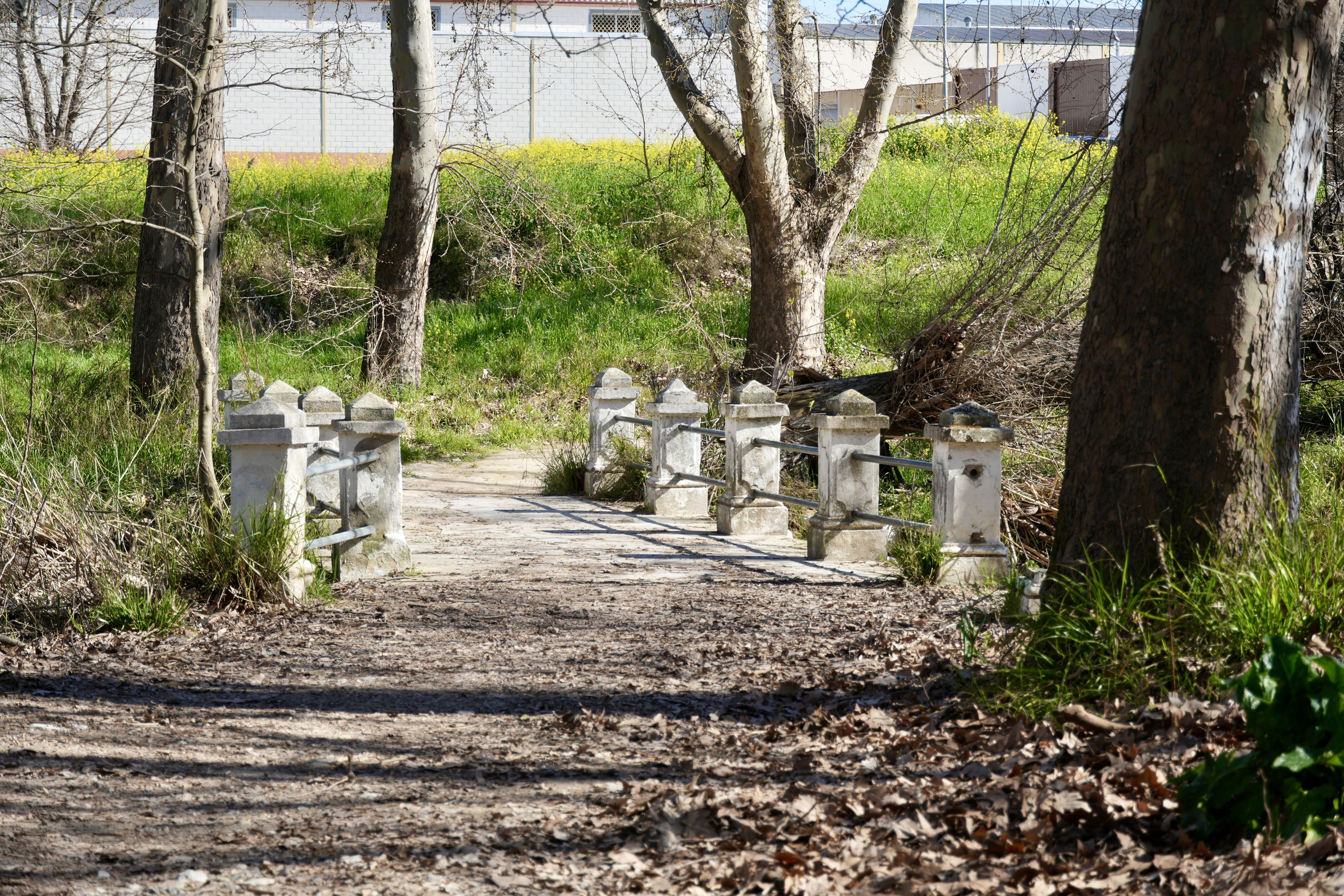 Una vista del puente del Cascajar, esta mañana