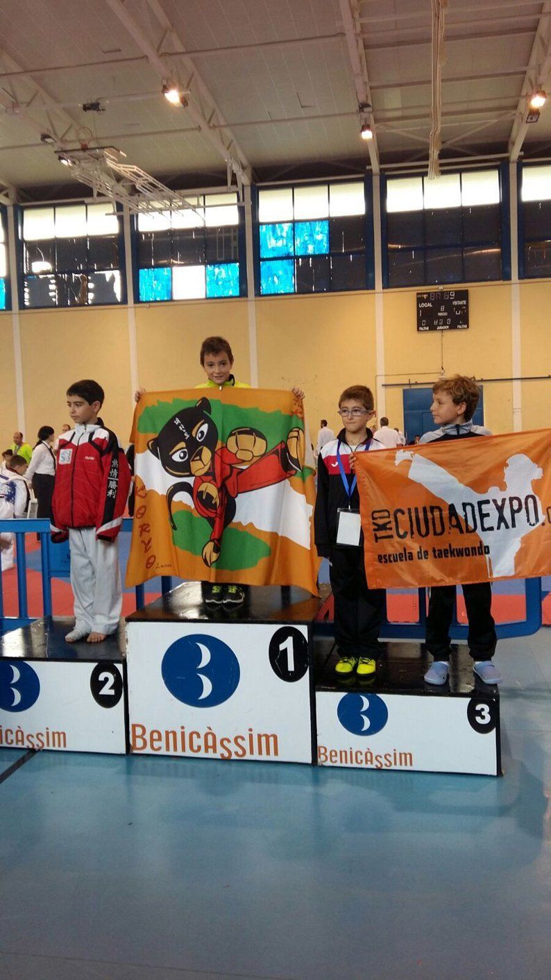 Galería: El Club Koryo Lucena es campeón de España de taekwondo