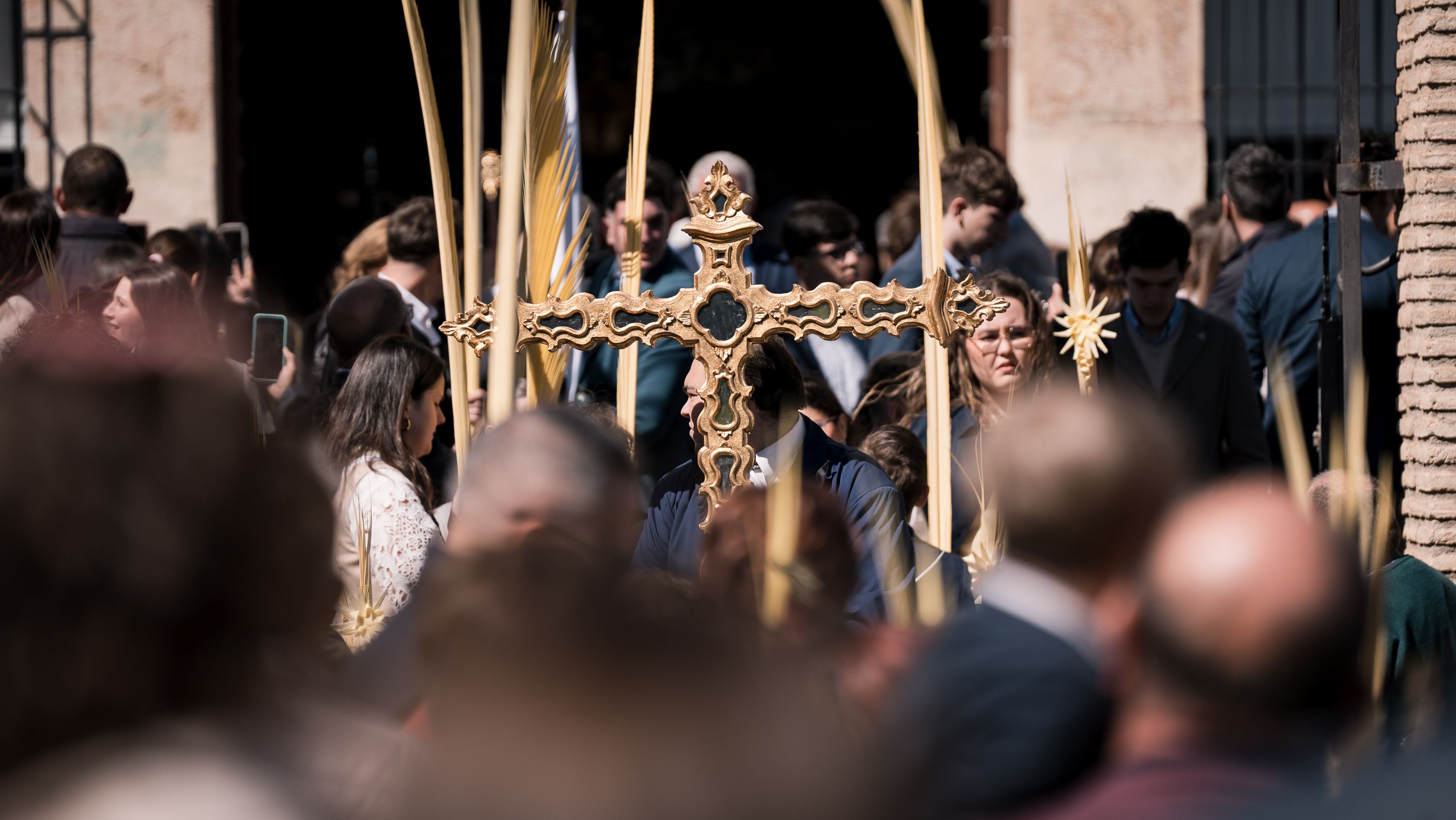 Semana Santa 2026   Domingo de Ramos. Pollina del Carmen (1)