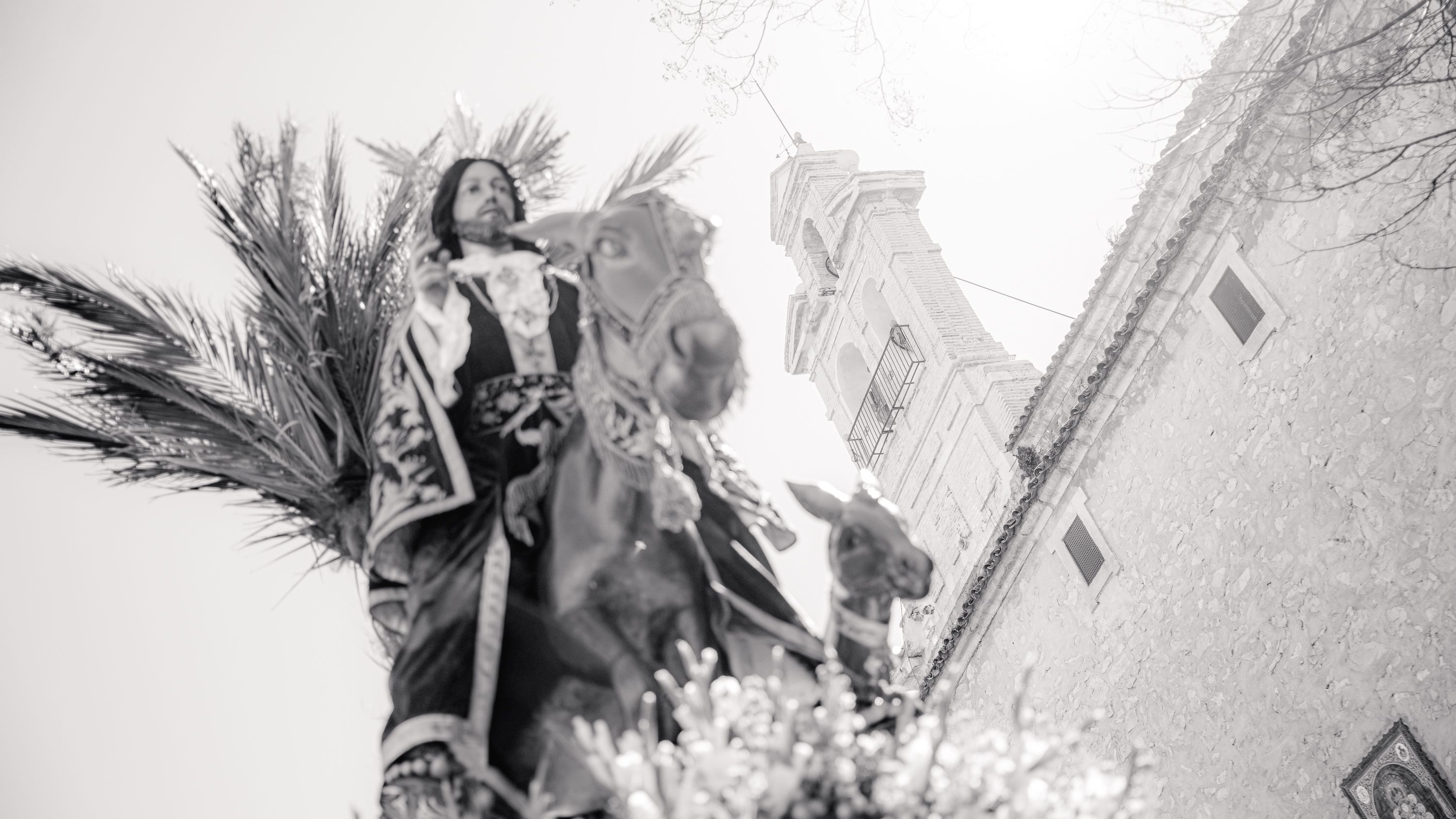 Semana Santa 2026   Domingo de Ramos. Pollina del Carmen (4)