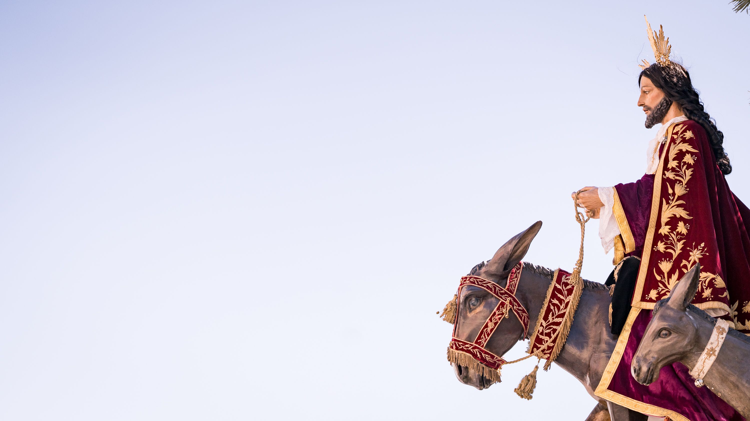 Semana Santa 2026   Domingo de Ramos. Pollina del Carmen (6)