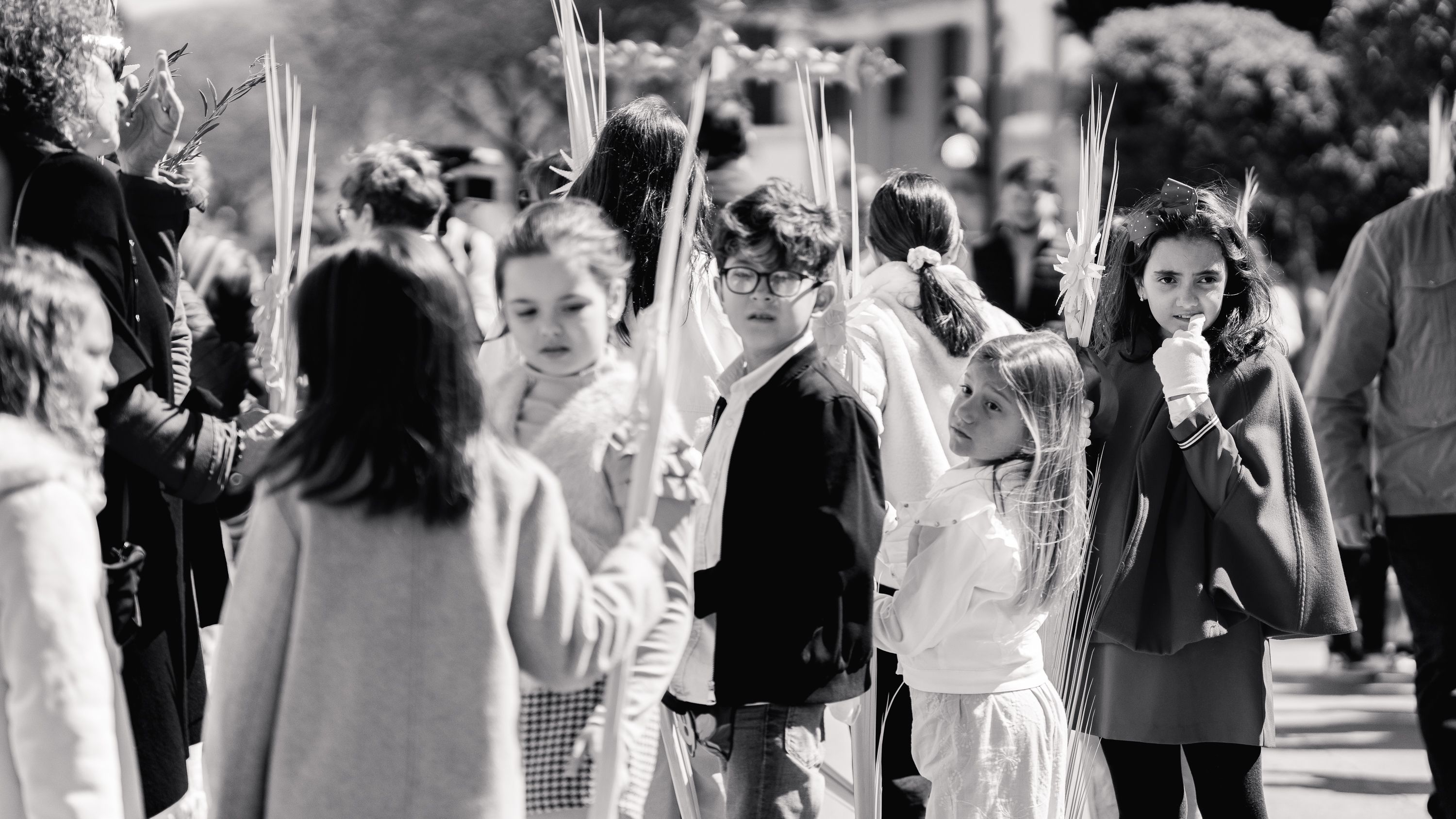 Semana Santa 2026   Domingo de Ramos. Pollina del Carmen (7)