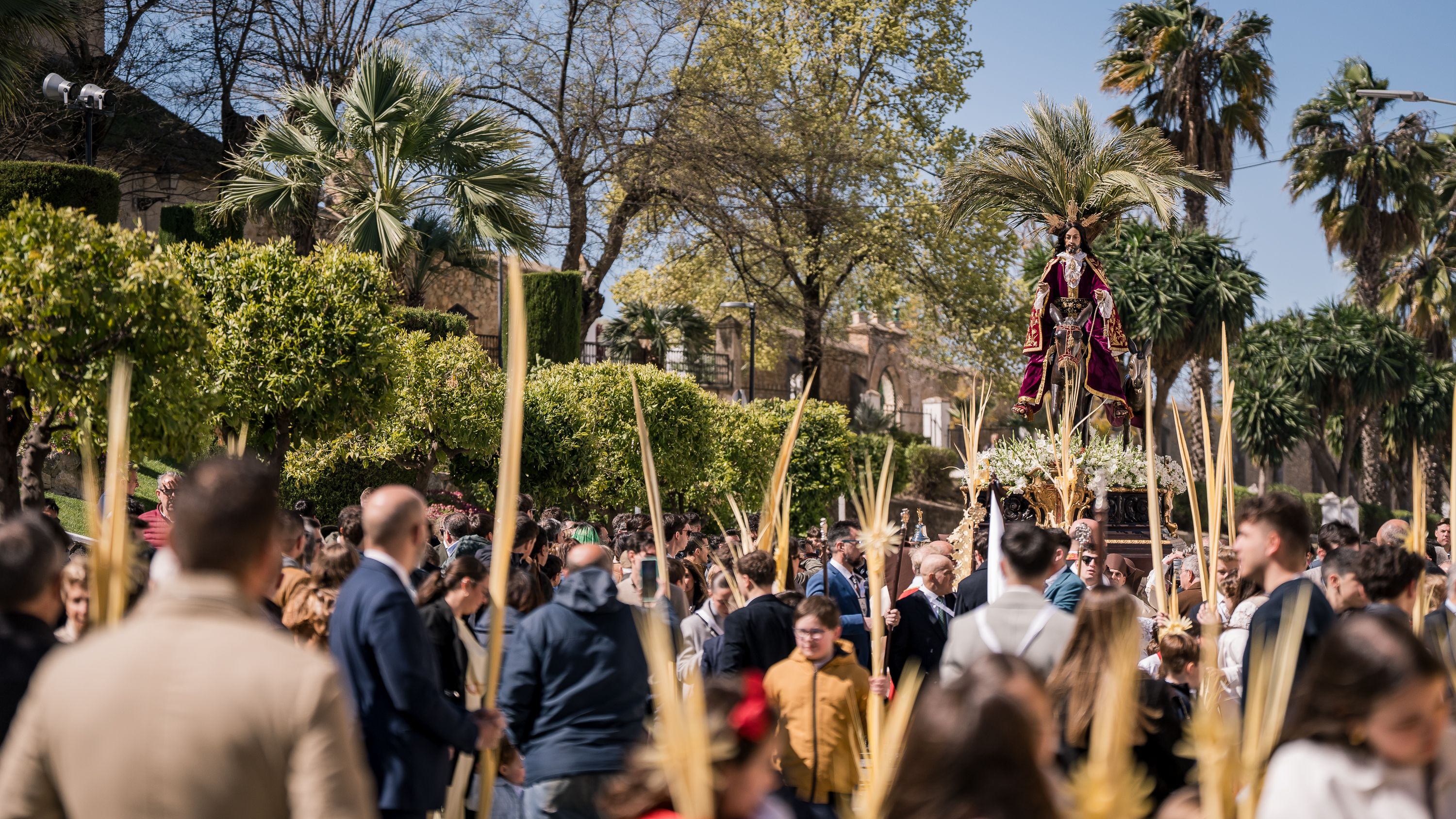 Semana Santa 2026   Domingo de Ramos. Pollina del Carmen (8)