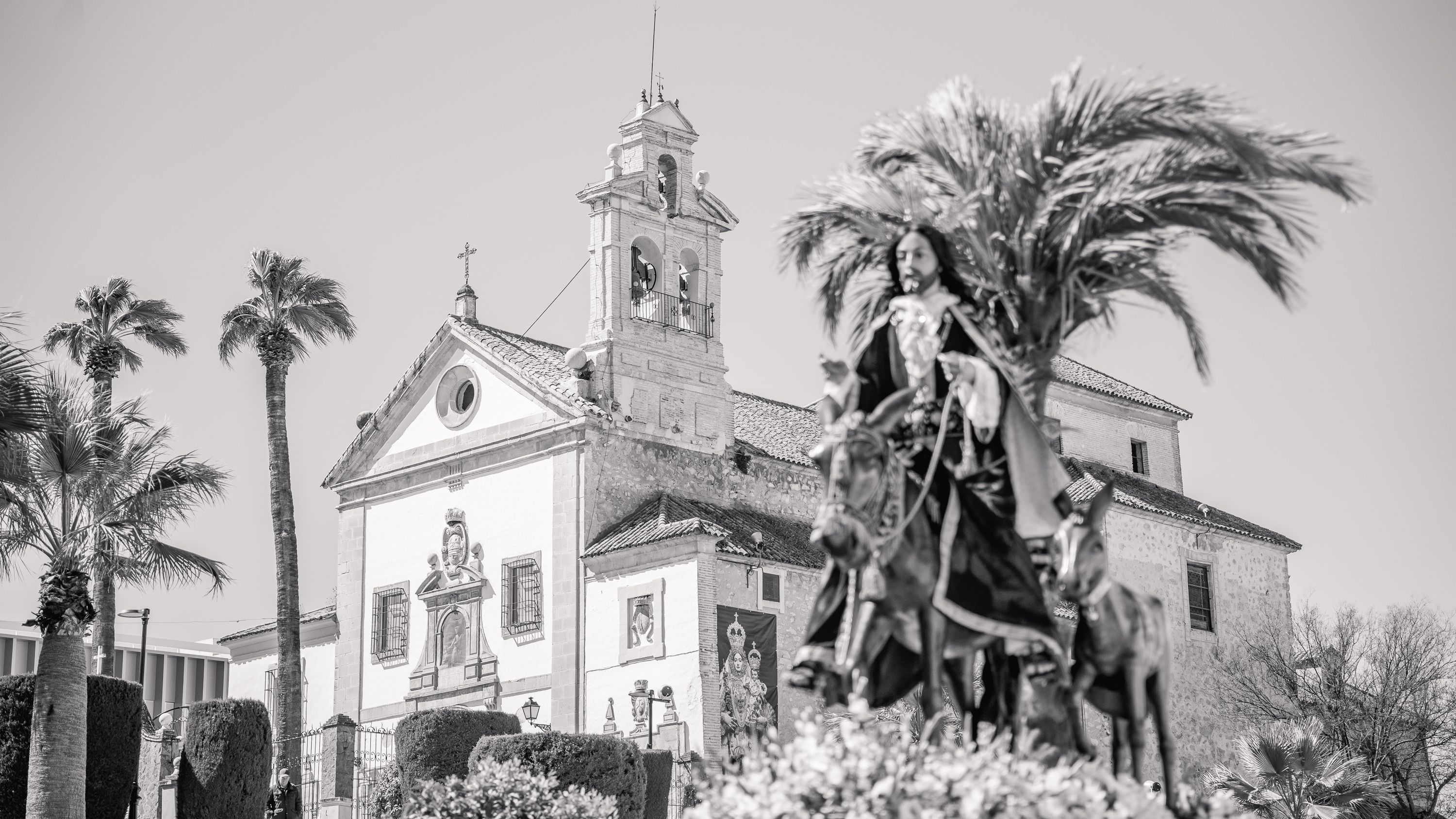 Semana Santa 2026   Domingo de Ramos. Pollina del Carmen (10)