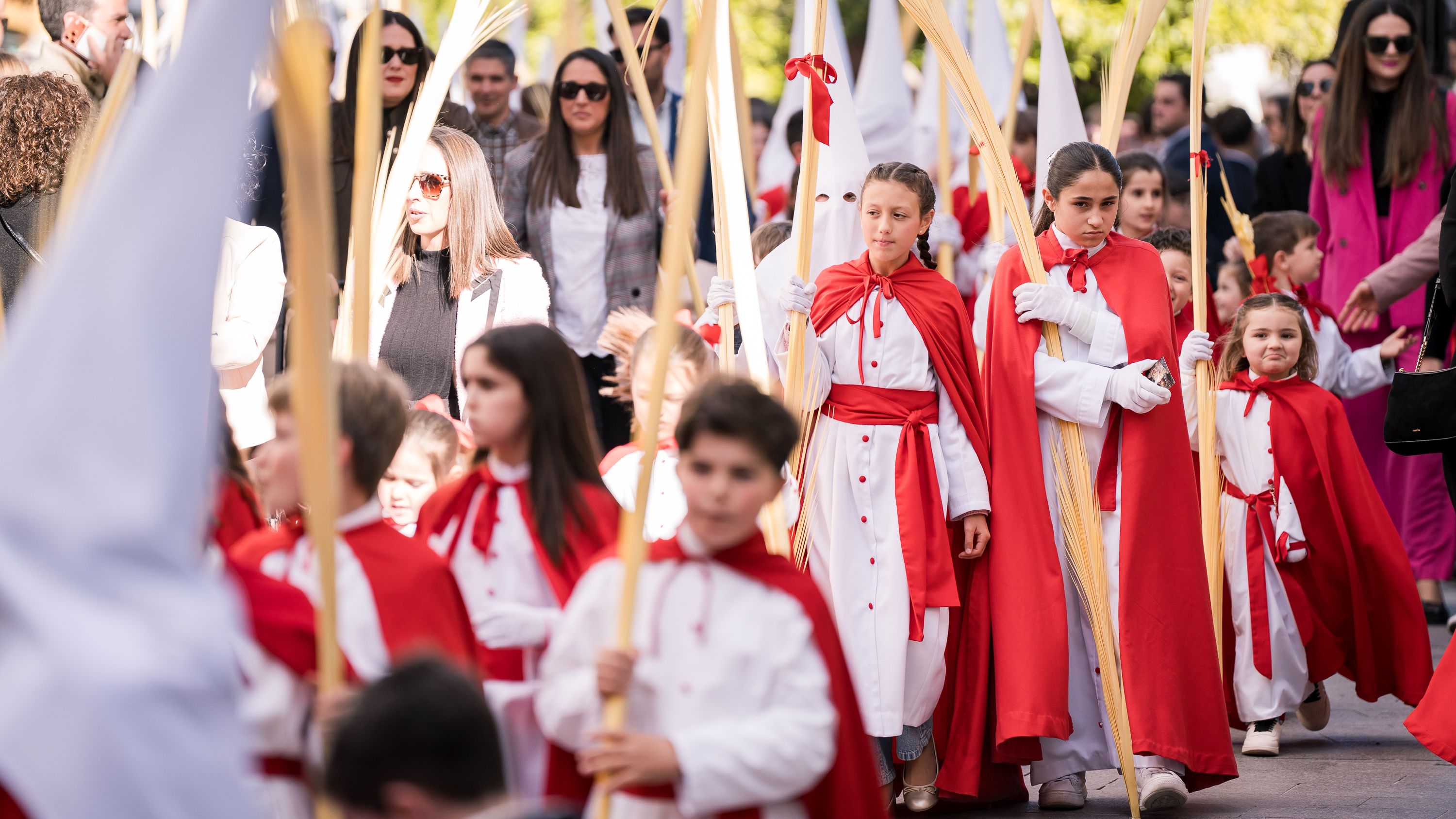 Semana Santa 2026   Domingo de Ramos   Pollinita (5)