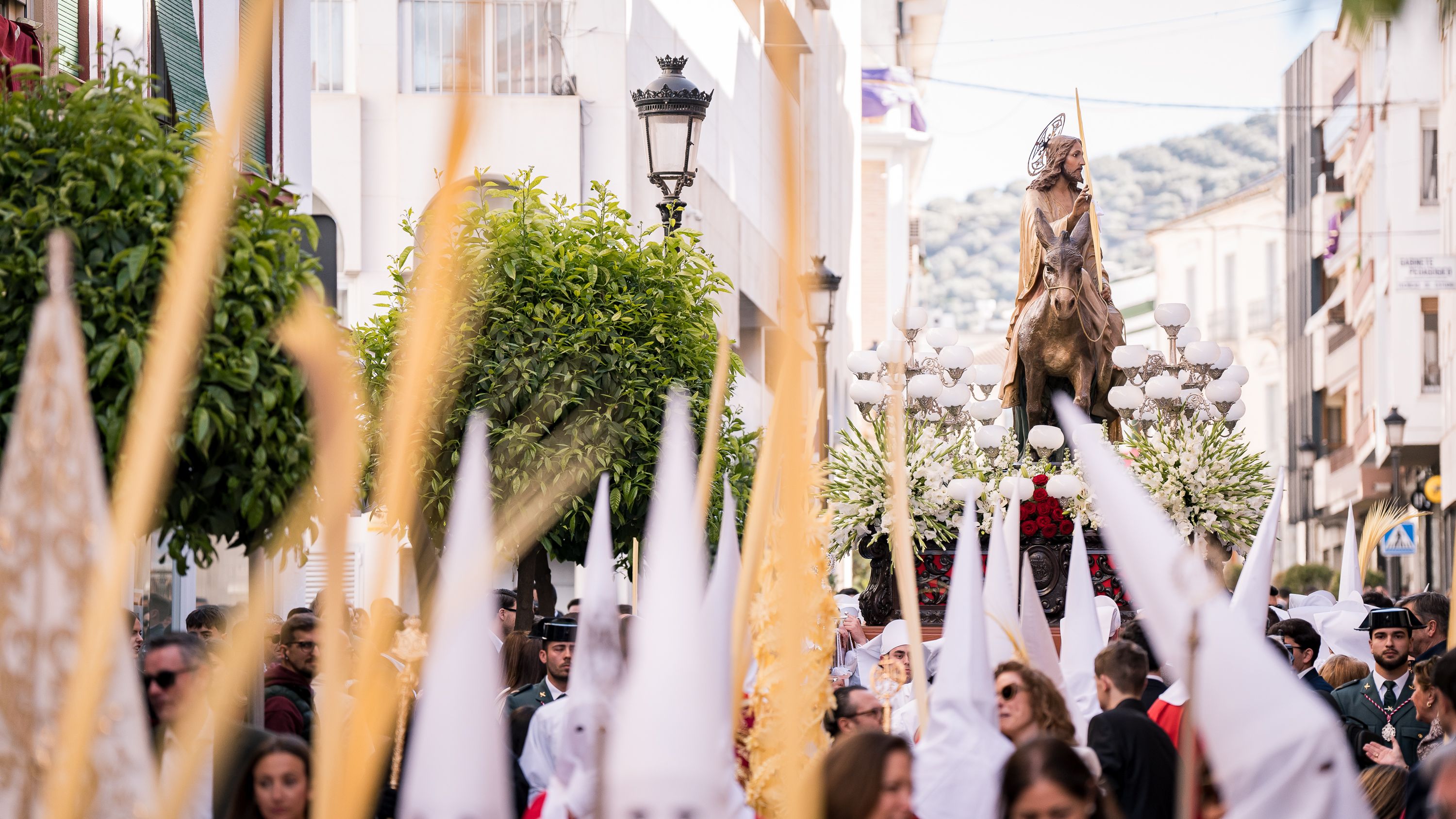 Semana Santa 2026   Domingo de Ramos   Pollinita (7)