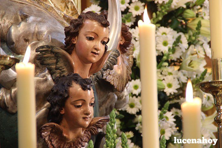 Foto-Galería: La Agrupación de Cofradías celebra la festividad de la Inmaculada Concepción