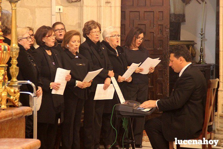 Foto-Galería: La Agrupación de Cofradías celebra la festividad de la Inmaculada Concepción