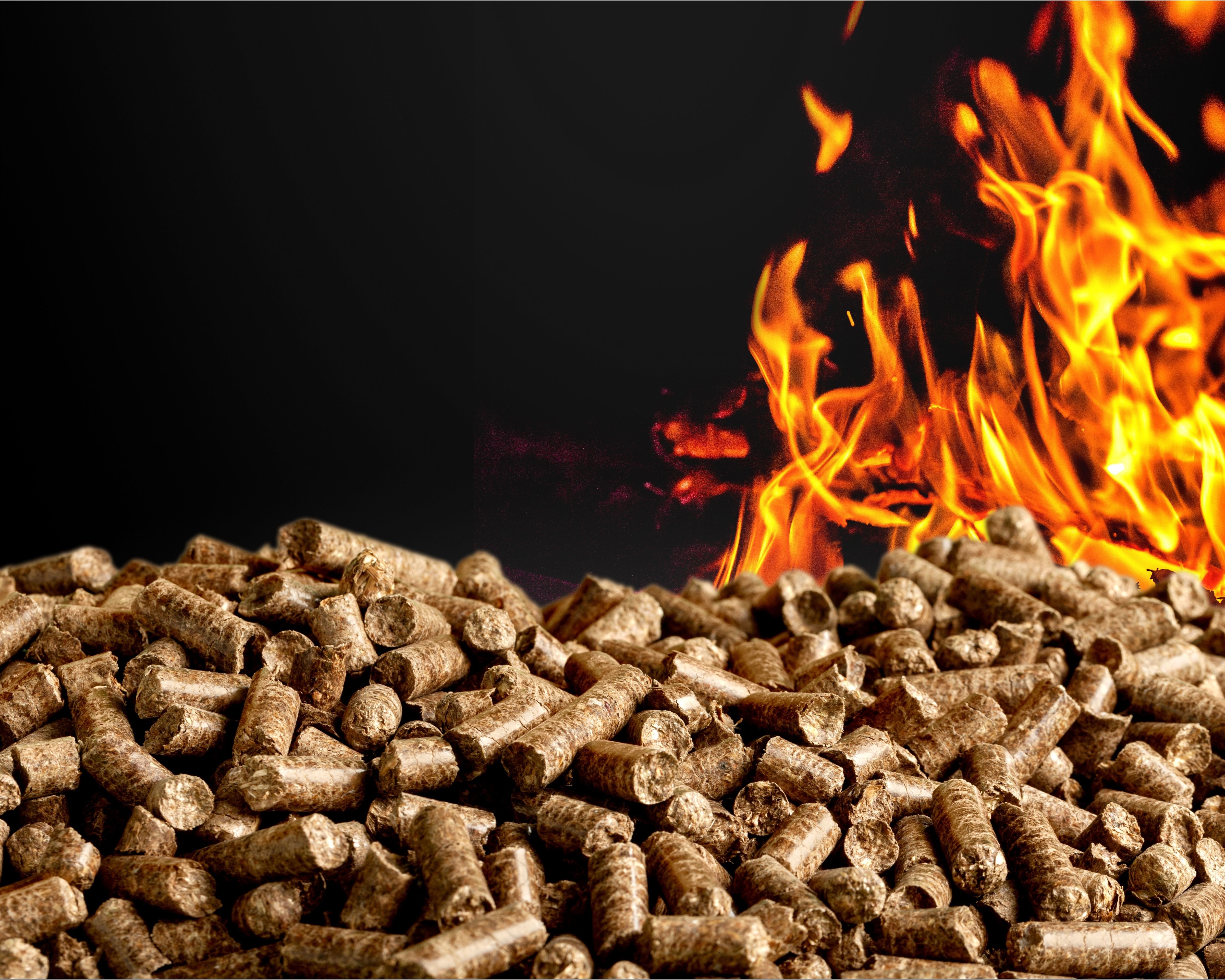 pellets biomass close up background pellets biomass close up background