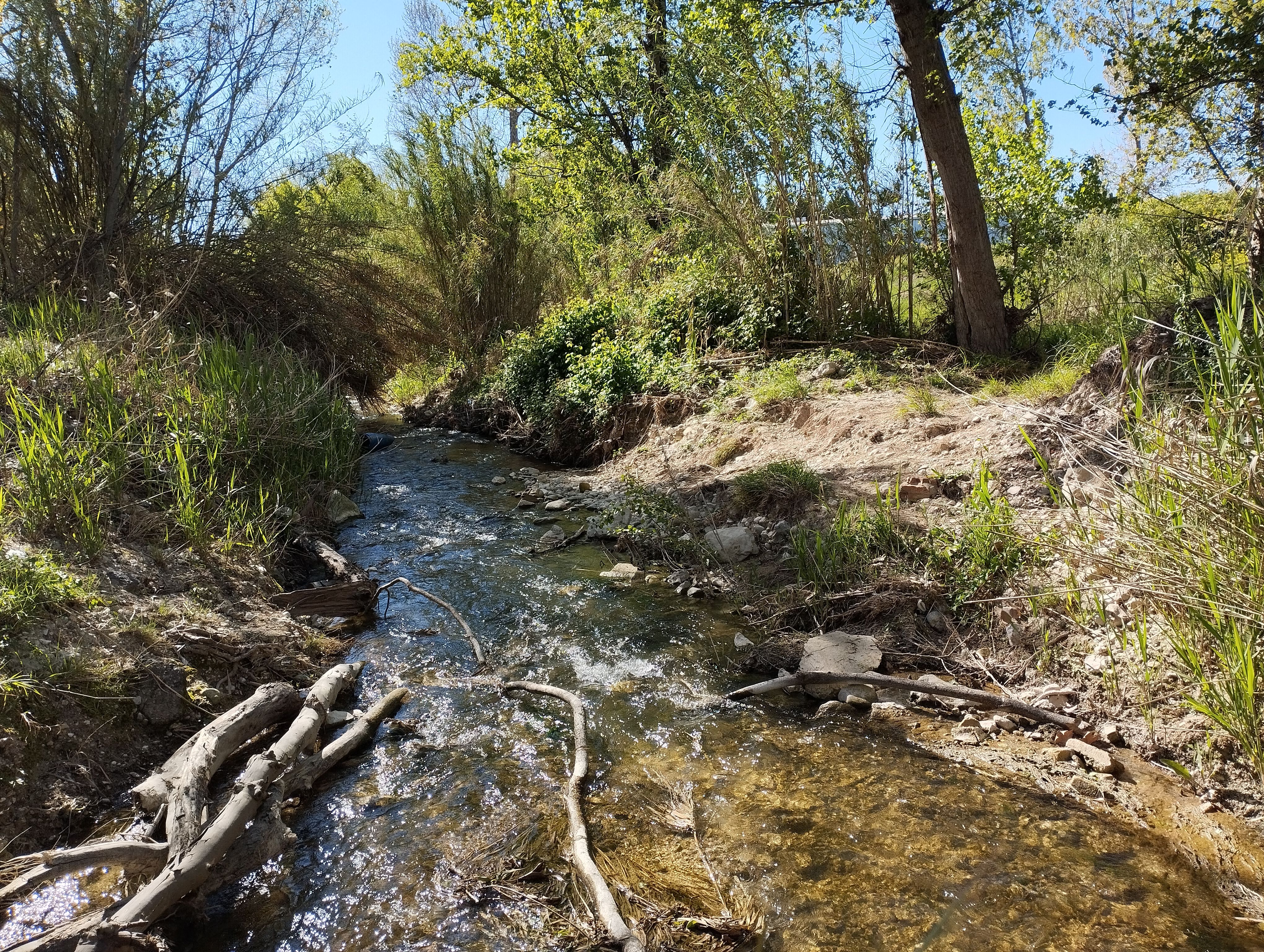 Una imagen del Río Lucena a su paso por El Cascajar Una imagen del Río Lucena a su paso por El Cascajar