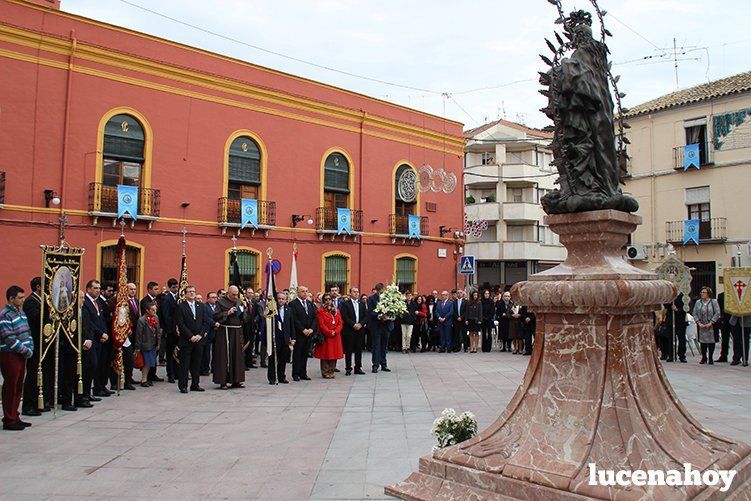 Foto-Galería: La Agrupación de Cofradías celebra la festividad de la Inmaculada Concepción