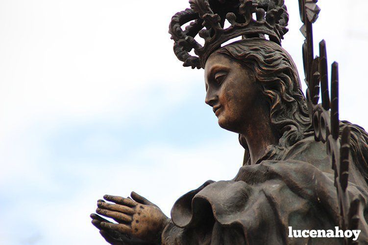 Foto-Galería: La Agrupación de Cofradías celebra la festividad de la Inmaculada Concepción