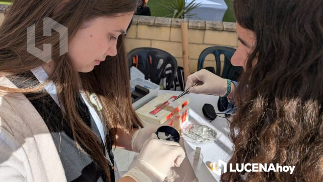 c6bd0171 072a 43a0 adde 054987a420d7