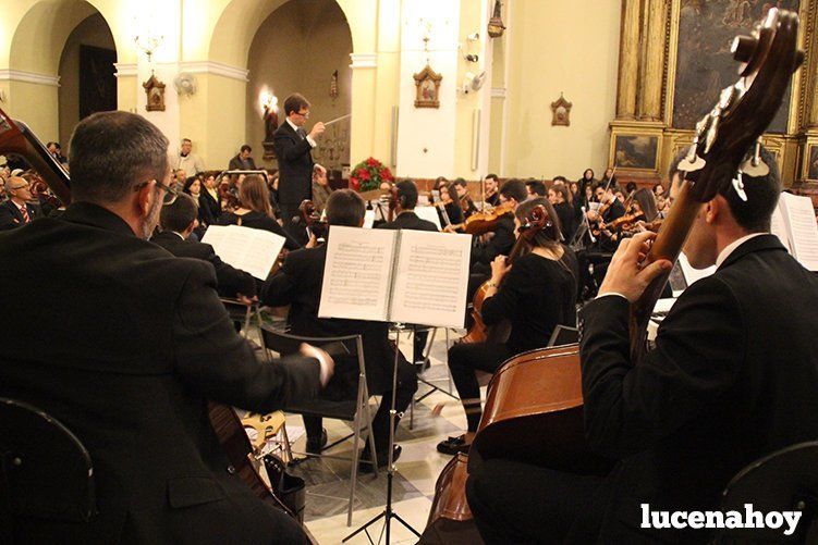 Foto Galería: Magistral concierto de Navidad de la Orquesta Sinfónica del Conservatorio, la Coral Lucentina y la Escolanía de la EMMD