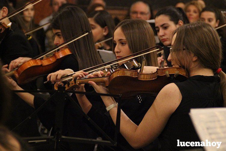 Foto Galería: Magistral concierto de Navidad de la Orquesta Sinfónica del Conservatorio, la Coral Lucentina y la Escolanía de la EMMD