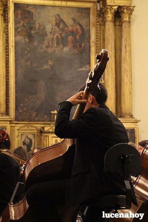 Foto Galería: Magistral concierto de Navidad de la Orquesta Sinfónica del Conservatorio, la Coral Lucentina y la Escolanía de la EMMD