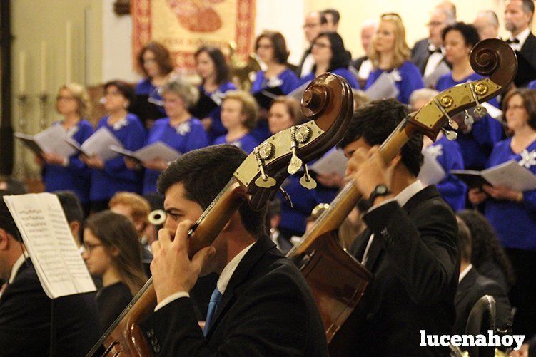 Foto Galería: Magistral concierto de Navidad de la Orquesta Sinfónica del Conservatorio, la Coral Lucentina y la Escolanía de la EMMD