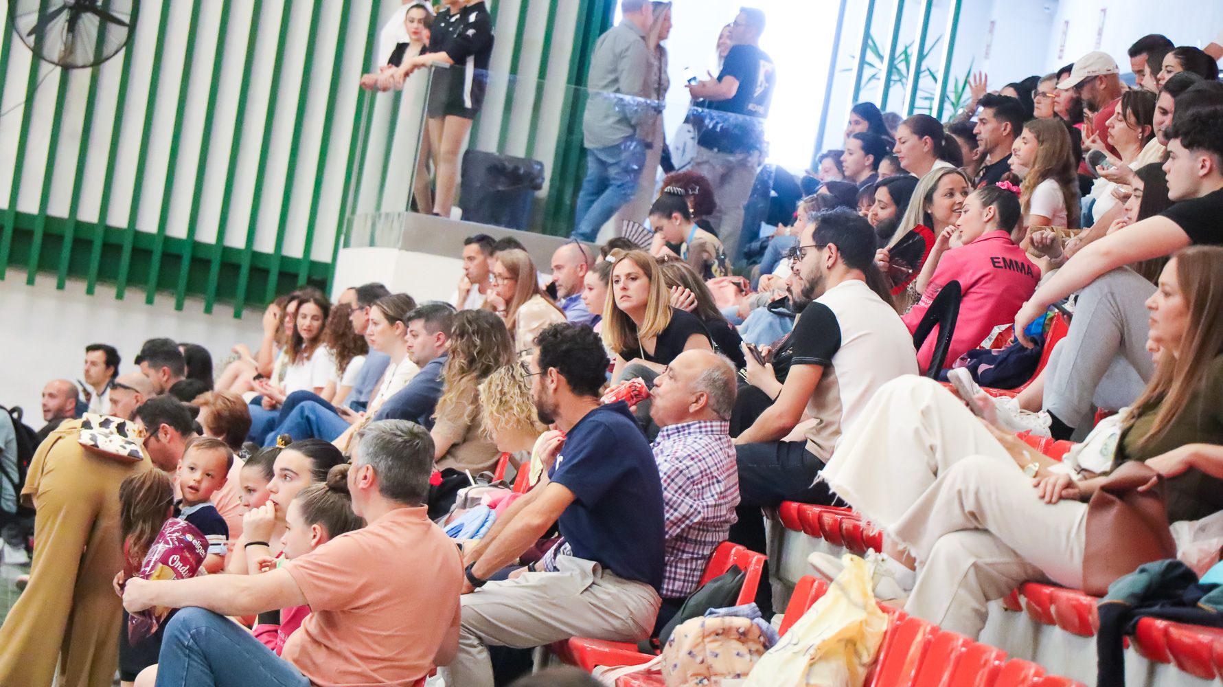 VIII Torneo Diputación de Córdoba de Gimnasia Rítmica  3