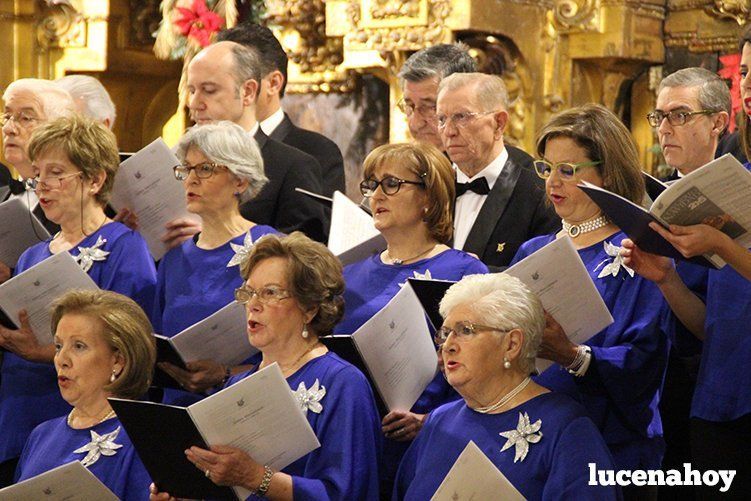 Foto Galería: Magistral concierto de Navidad de la Orquesta Sinfónica del Conservatorio, la Coral Lucentina y la Escolanía de la EMMD