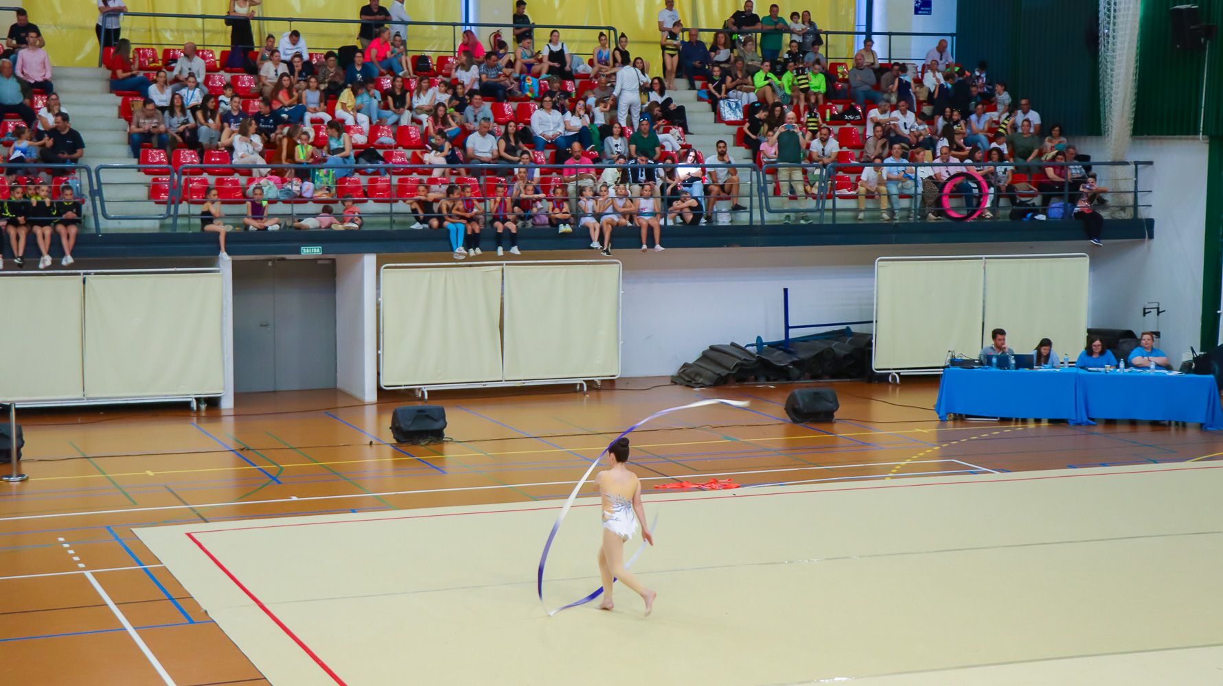 VIII Torneo Diputación de Córdoba de Gimnasia Rítmica  15