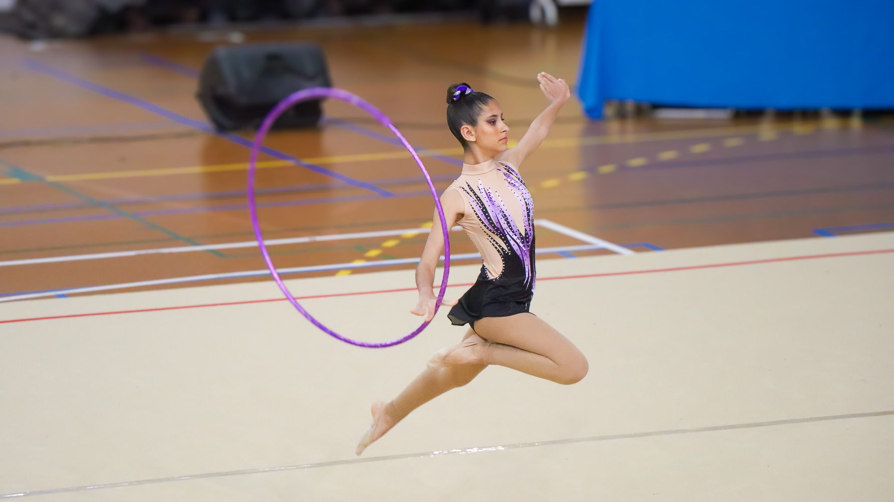 VIII Torneo Diputación de Córdoba de Gimnasia Rítmica  17