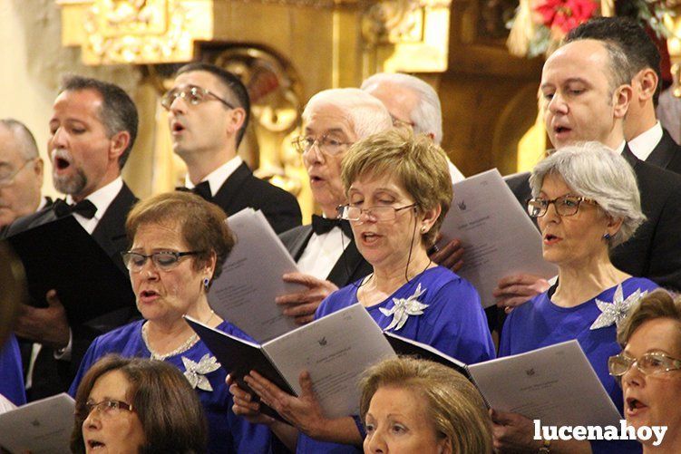 Foto Galería: Magistral concierto de Navidad de la Orquesta Sinfónica del Conservatorio, la Coral Lucentina y la Escolanía de la EMMD