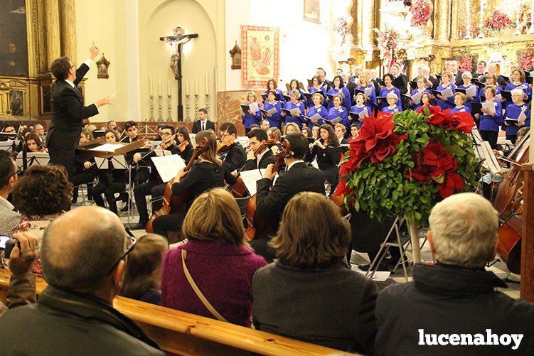 Foto Galería: Magistral concierto de Navidad de la Orquesta Sinfónica del Conservatorio, la Coral Lucentina y la Escolanía de la EMMD