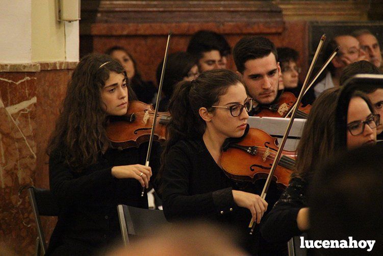 Foto Galería: Magistral concierto de Navidad de la Orquesta Sinfónica del Conservatorio, la Coral Lucentina y la Escolanía de la EMMD