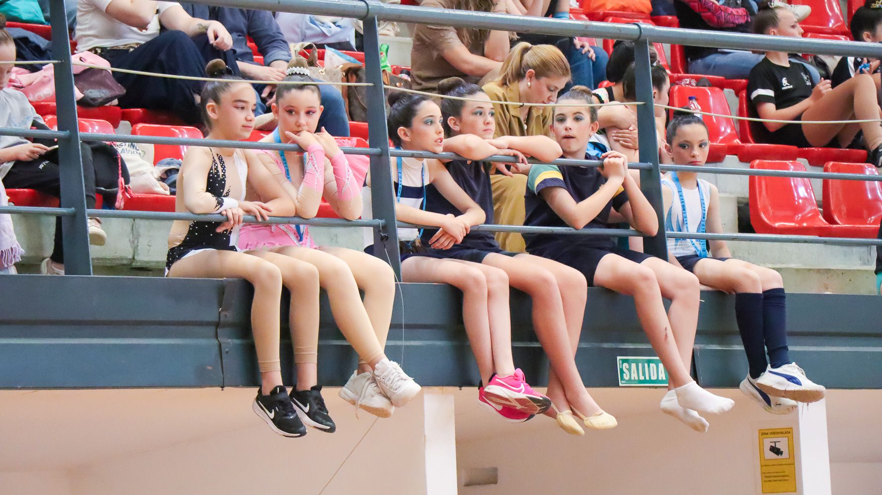 VIII Torneo Diputación de Córdoba de Gimnasia Rítmica  39