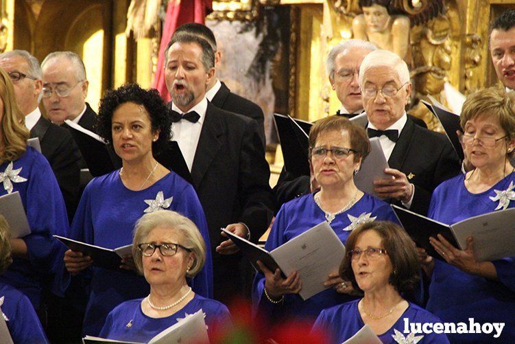 Foto Galería: Magistral concierto de Navidad de la Orquesta Sinfónica del Conservatorio, la Coral Lucentina y la Escolanía de la EMMD