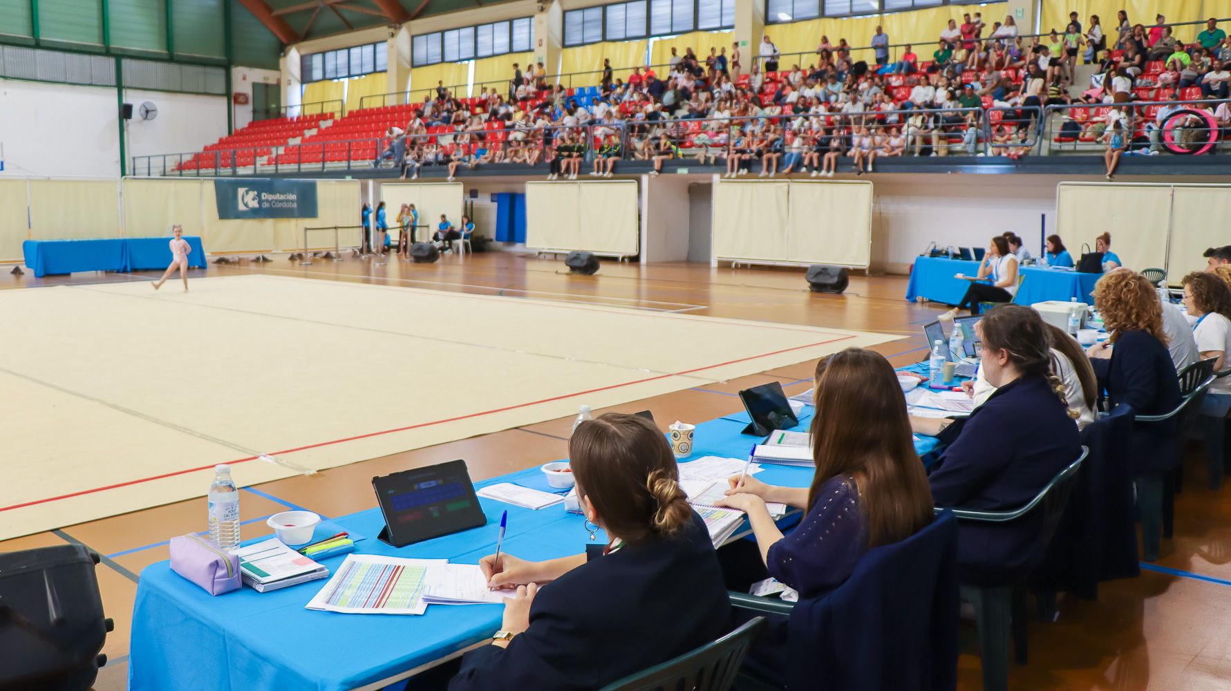 VIII Torneo Diputación de Córdoba de Gimnasia Rítmica  58