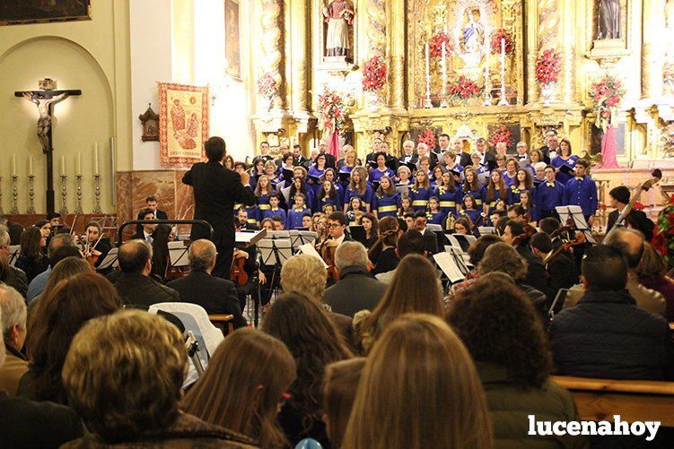 Foto Galería: Magistral concierto de Navidad de la Orquesta Sinfónica del Conservatorio, la Coral Lucentina y la Escolanía de la EMMD