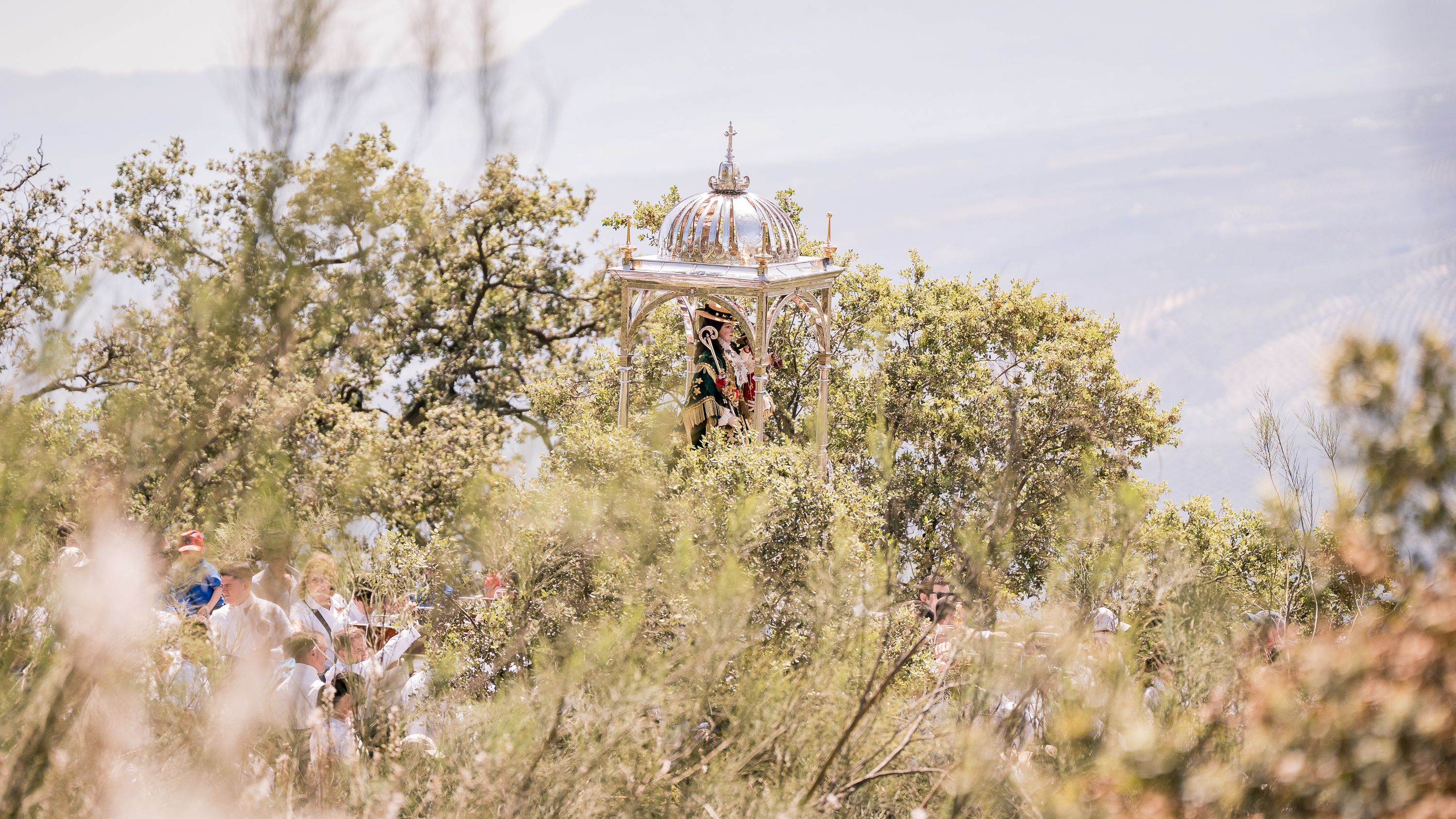 Romeria de Bajada 2026   Sierra (10)